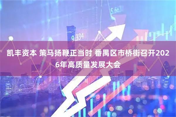 凯丰资本 策马扬鞭正当时 番禺区市桥街召开2026年高质量发展大会