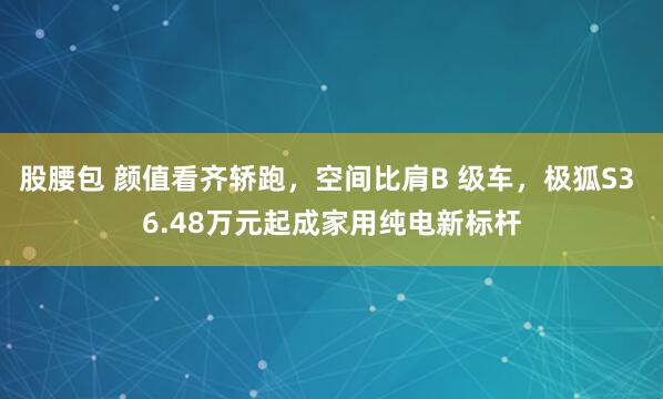 股腰包 颜值看齐轿跑，空间比肩B 级车，极狐S3 6.48万元起成家用纯电新标杆